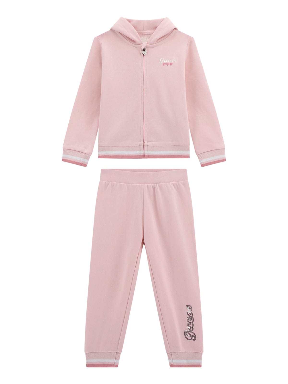 Tute GUESS