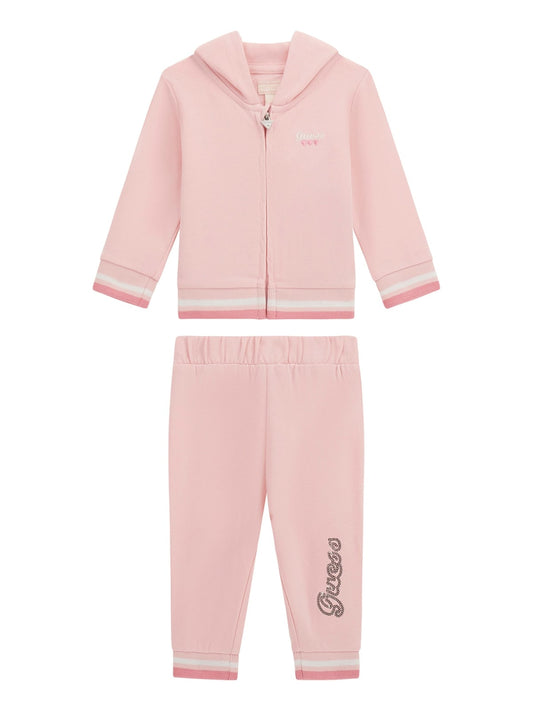 Tute GUESS